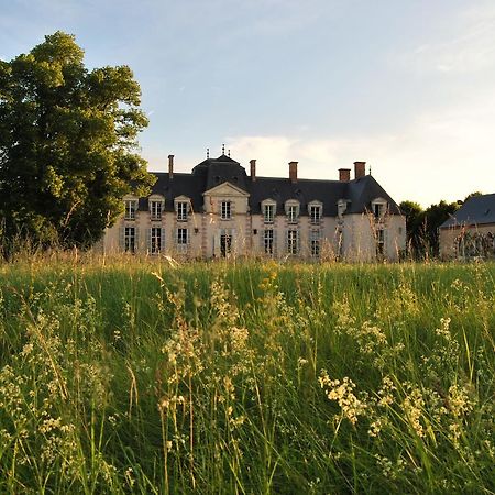 Chateau La Touanne Loire Valley Baccon Exteriér fotografie