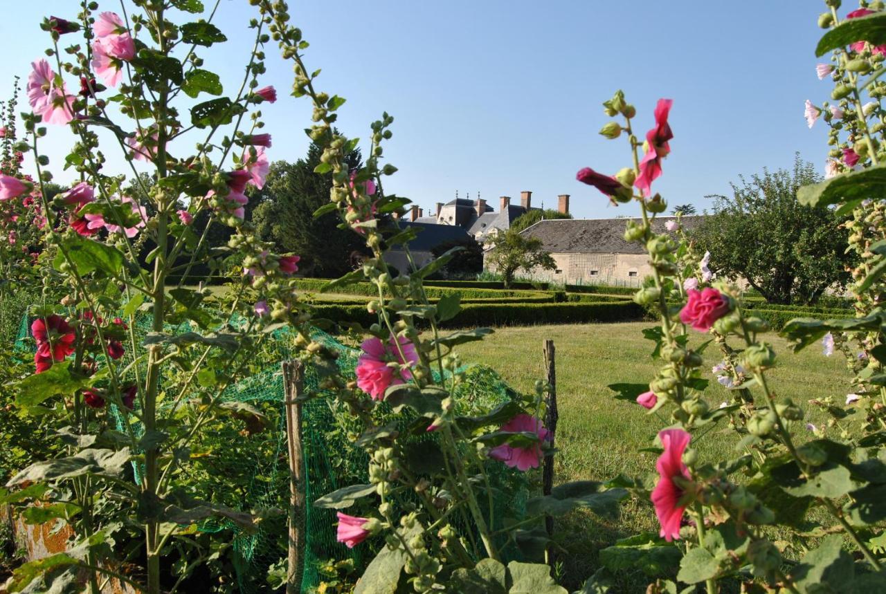 Chateau La Touanne Loire Valley Baccon Exteriér fotografie