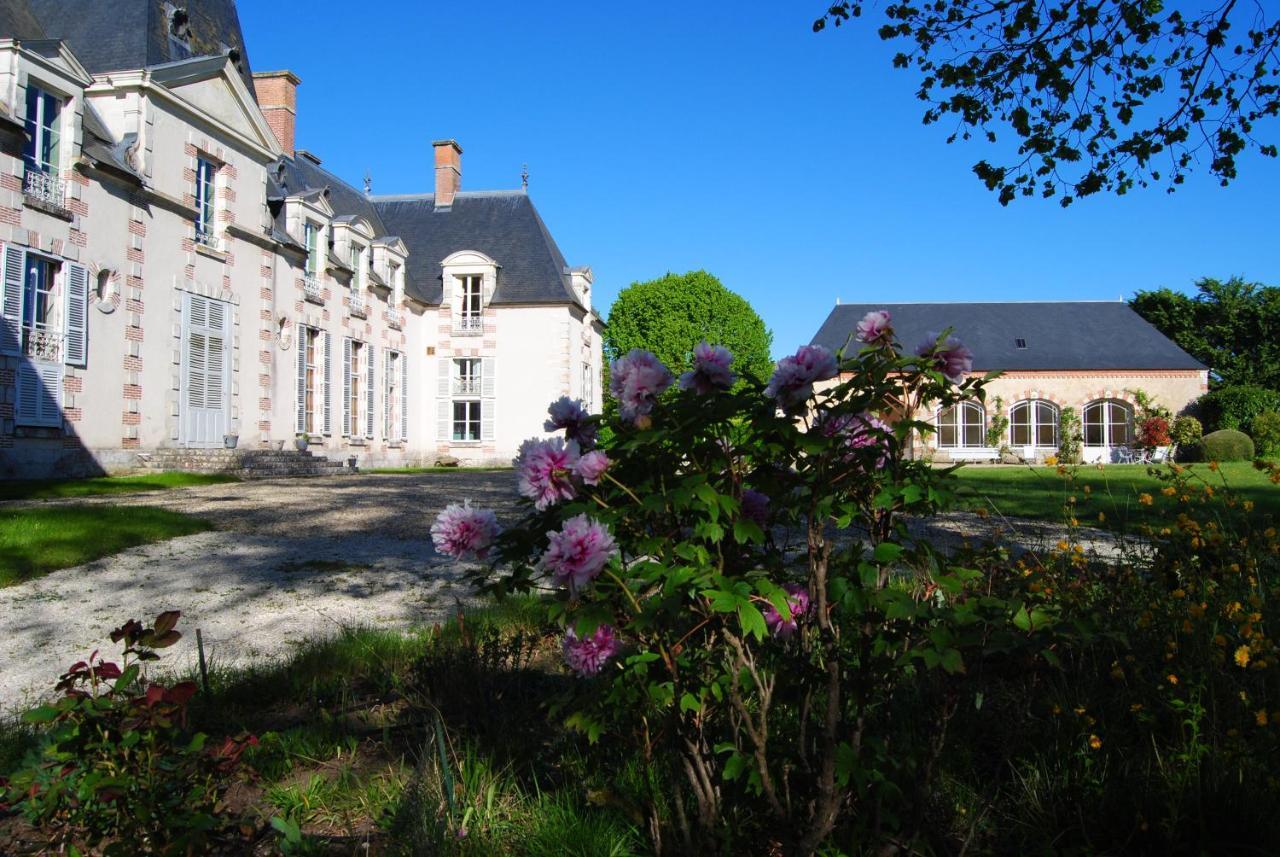 Chateau La Touanne Loire Valley Baccon Exteriér fotografie