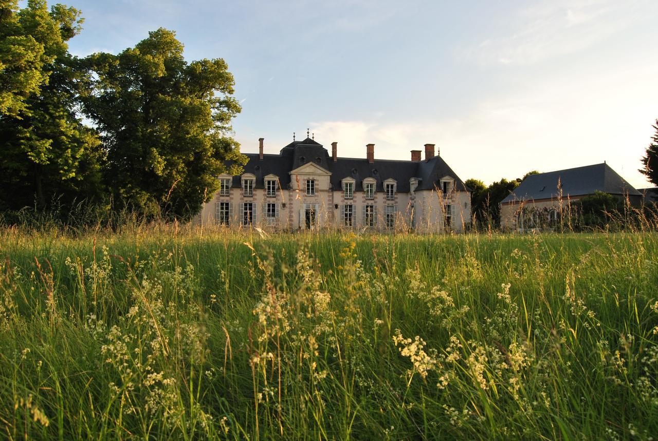 Chateau La Touanne Loire Valley Baccon Exteriér fotografie