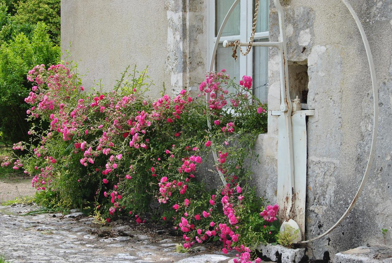Chateau La Touanne Loire Valley Baccon Exteriér fotografie