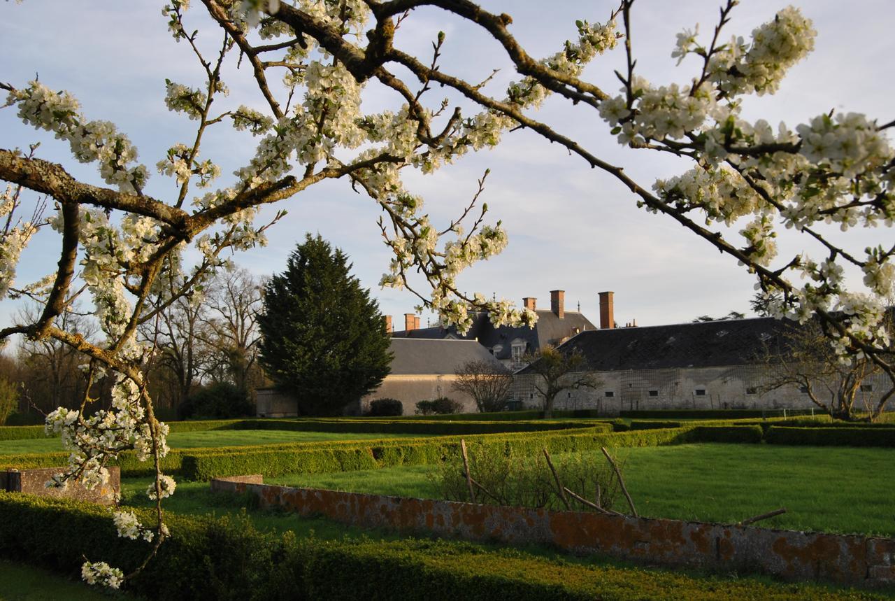Chateau La Touanne Loire Valley Baccon Exteriér fotografie