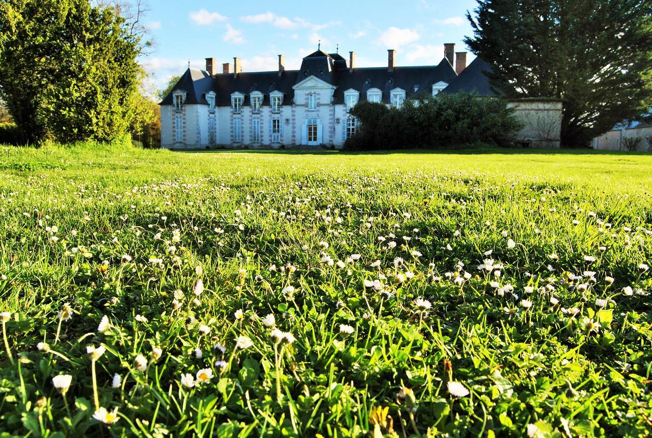 Chateau La Touanne Loire Valley Baccon Exteriér fotografie